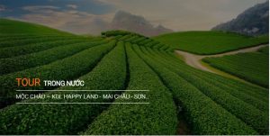 Website đặt tour du lịch giá rẻ uy tín nhất 2018